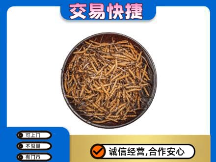 永州市高价回收散虫草